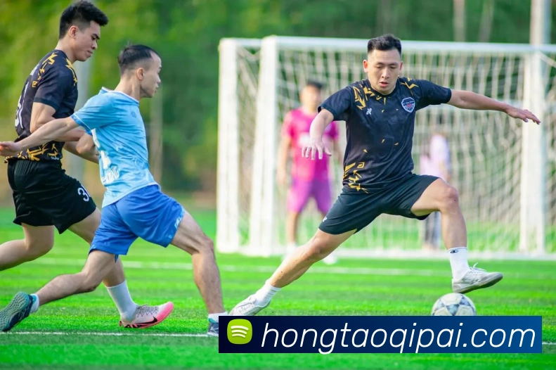 88娱乐城全站App